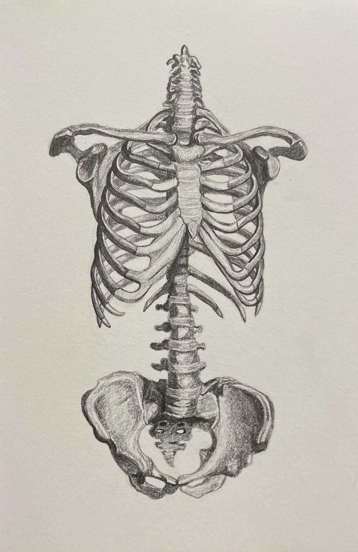 Bones